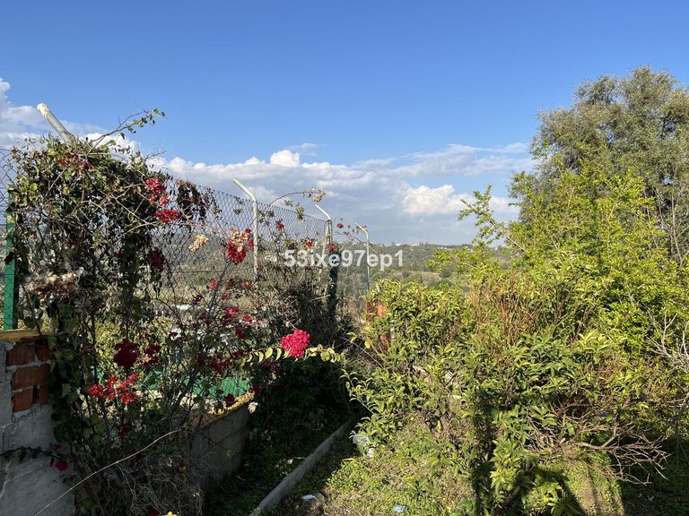 Villa for Sale in Estepona, Malaga 12