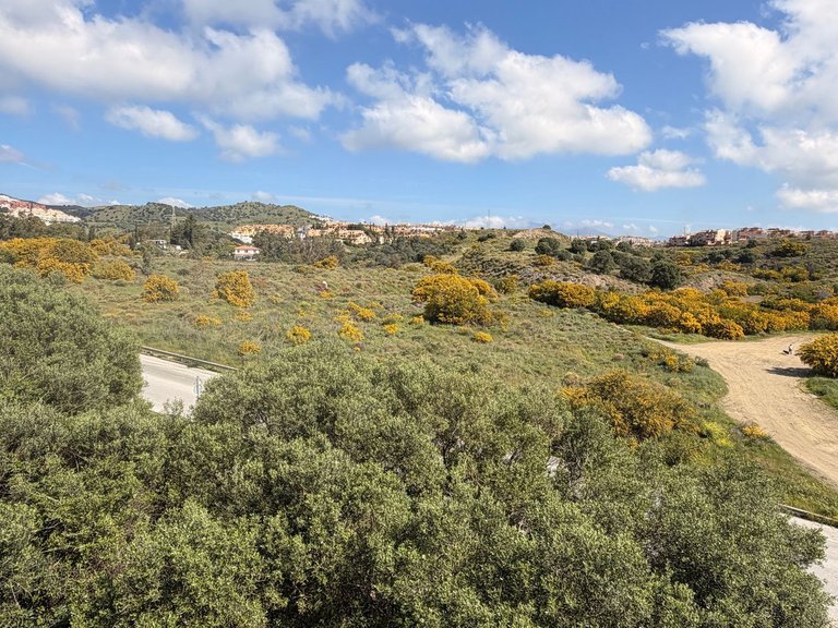 Villa for Sale in Calahonda, Malaga 26