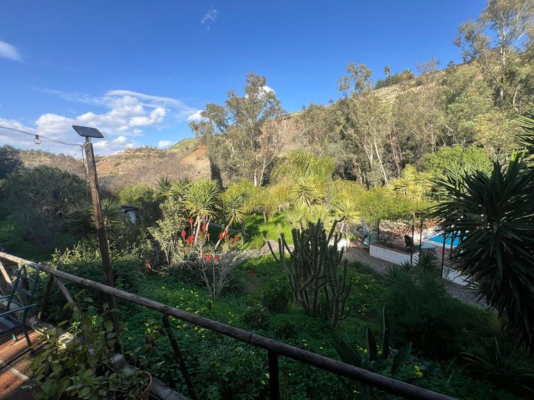 Villa for Sale in Coín, Malaga 19