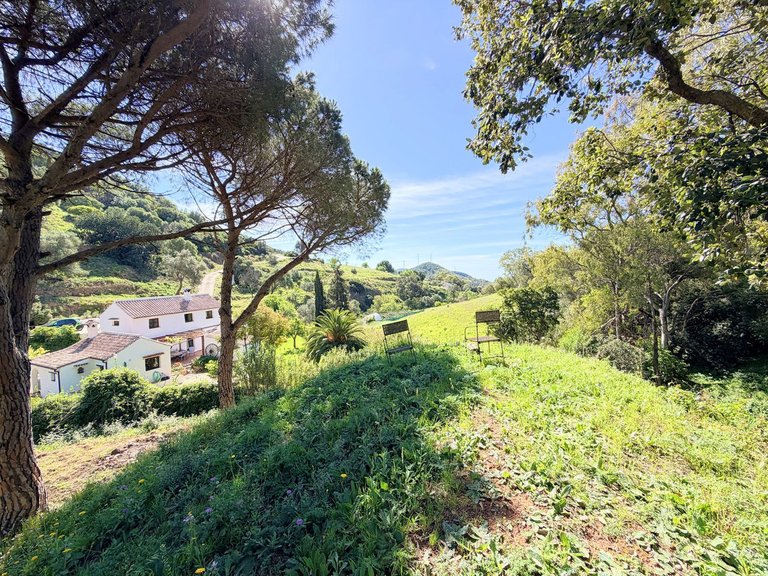 Villa for Sale in Casares, Malaga 15