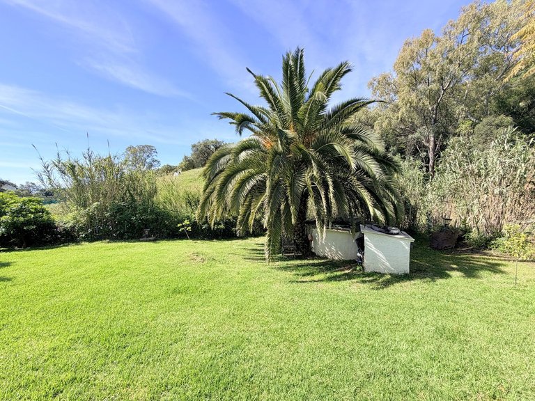 Villa for Sale in Casares, Malaga 17