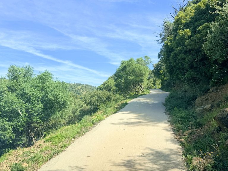 Villa for Sale in Casares, Malaga 19