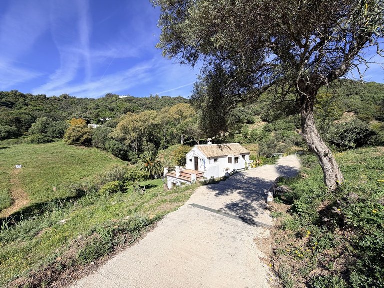 Villa for Sale in Casares, Malaga 2