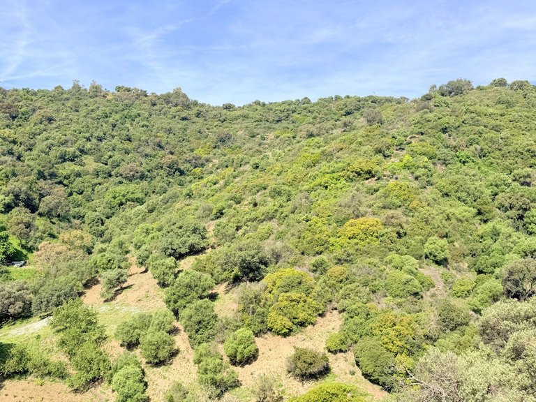 Villa for Sale in Casares, Malaga 24