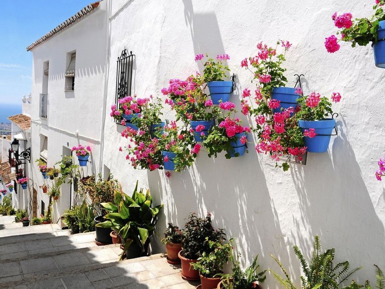 Villa for Sale in Casares, Malaga 46