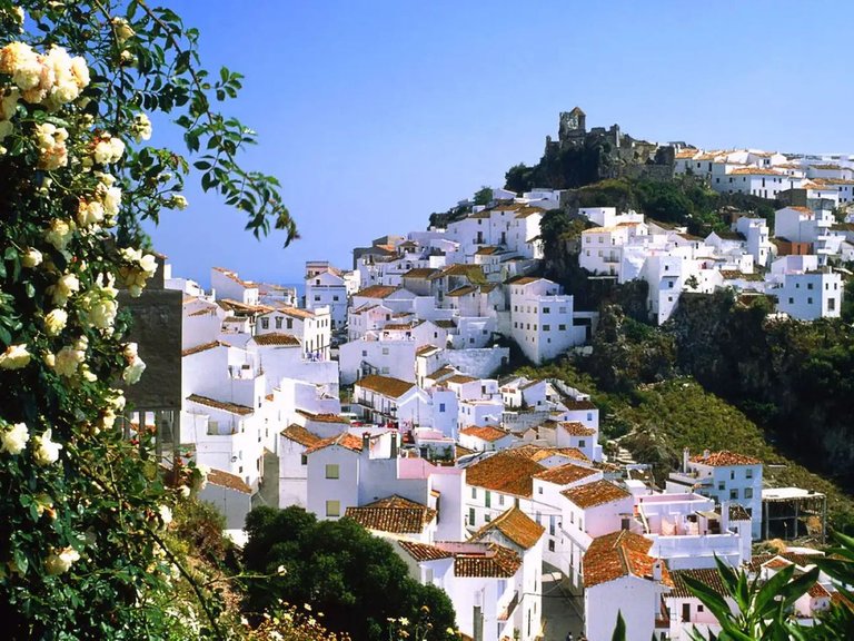 Villa for Sale in Casares, Malaga 47