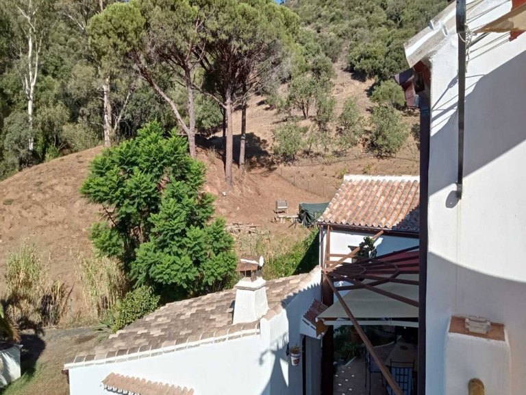 Country House for Sale in Casares, Malaga 13