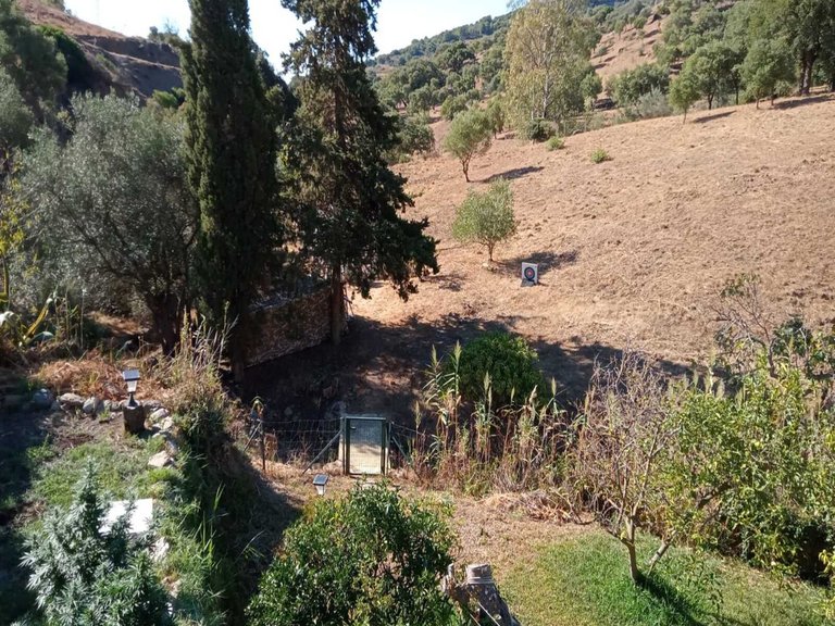 Country House for Sale in Casares, Malaga 14