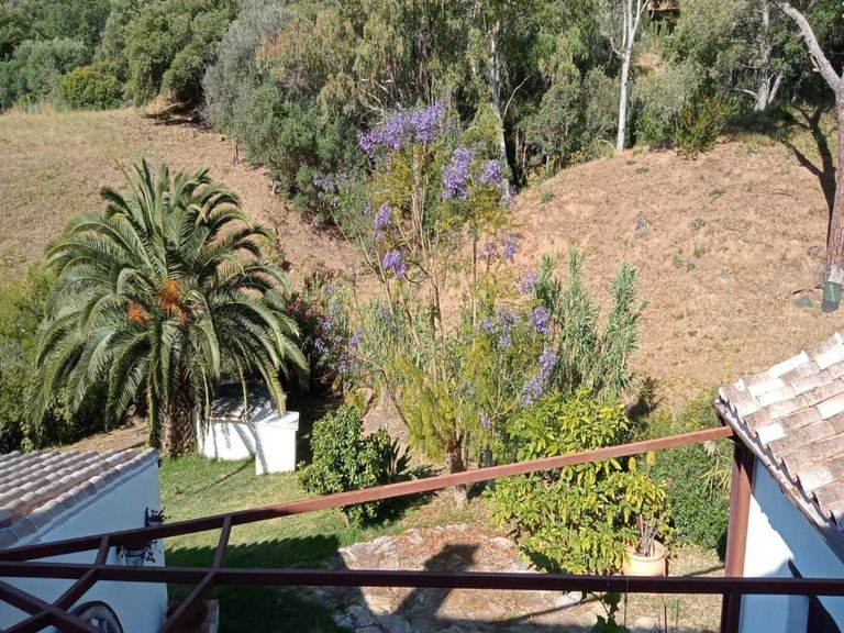 Country House for Sale in Casares, Malaga 15