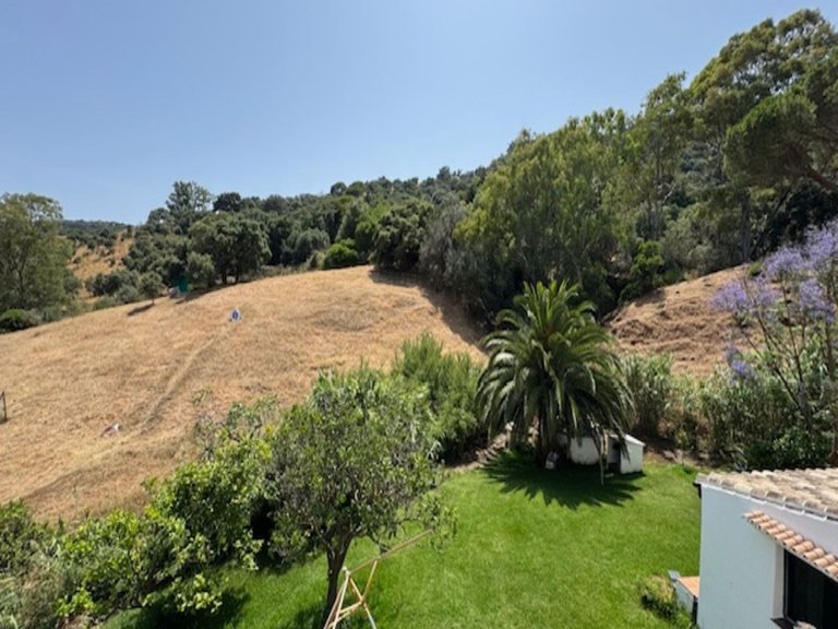 Country House for Sale in Casares, Malaga 20