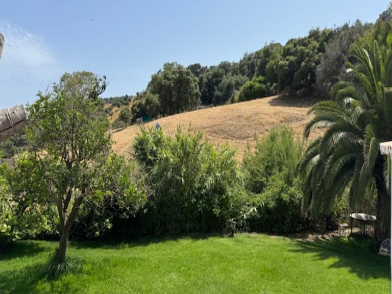 Country House for Sale in Casares, Malaga 22