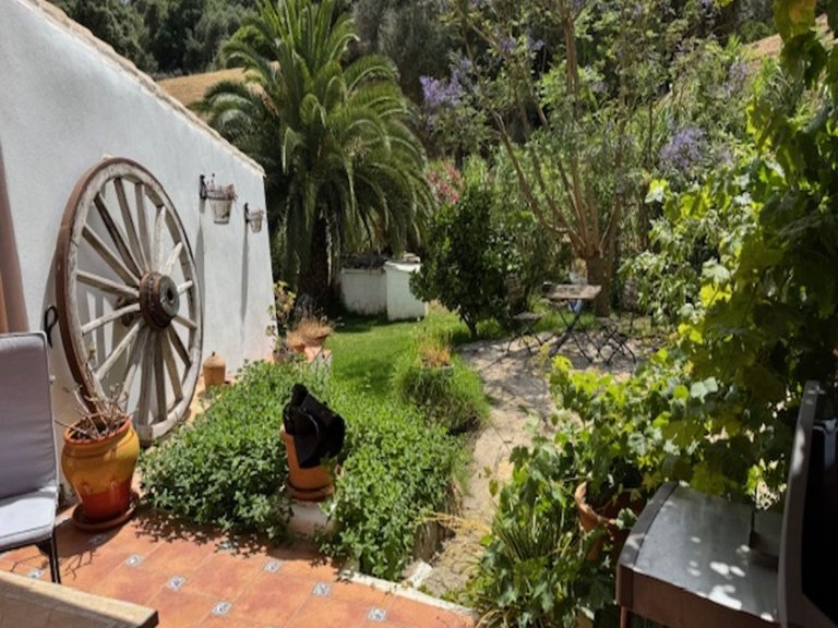 Country House for Sale in Casares, Malaga 8