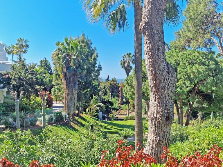 Apartment for Sale in Calahonda, Malaga 28