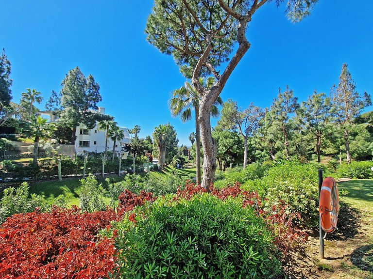 Apartment for Sale in Calahonda, Malaga 31
