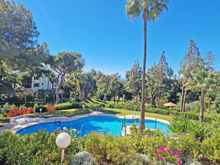 Apartment for Sale in Calahonda, Malaga 5