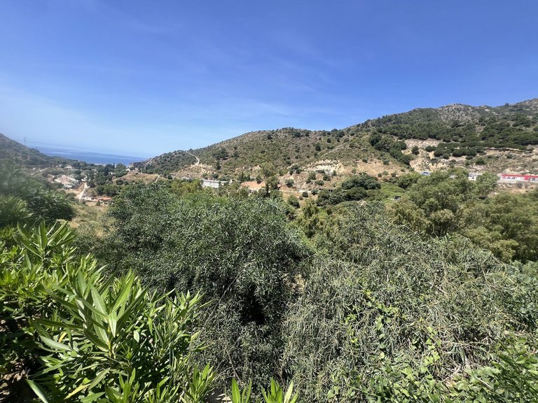 Plot for Sale in Marbella, Malaga 4