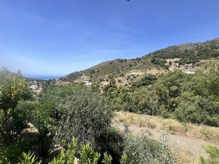 Plot for Sale in Marbella, Malaga 7