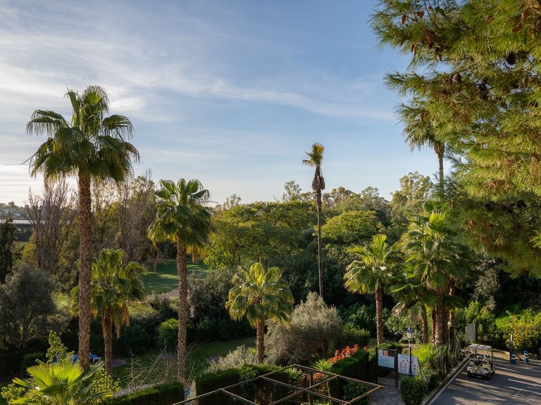 Apartment for Sale in Benahavís, Malaga 13
