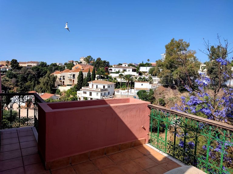 Apartment for Sale in Torreblanca, Malaga 16