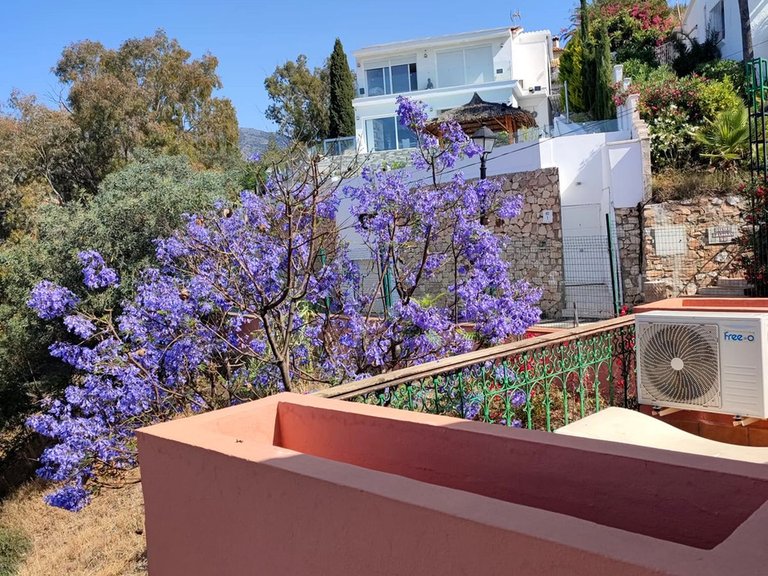 Apartment for Sale in Torreblanca, Malaga 19