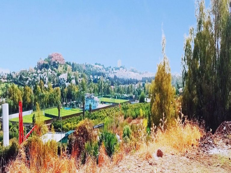 Plot for Sale in La Quinta, Malaga 1