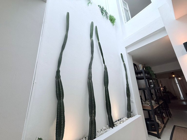 Villa for Sale in Coín, Malaga 10