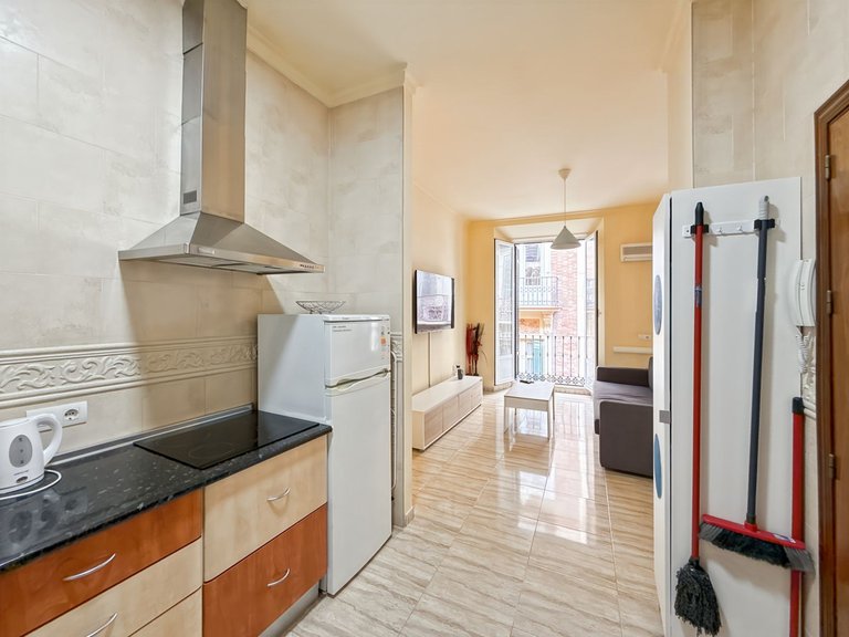 Apartment for Sale in Centro Histórico, Malaga 61