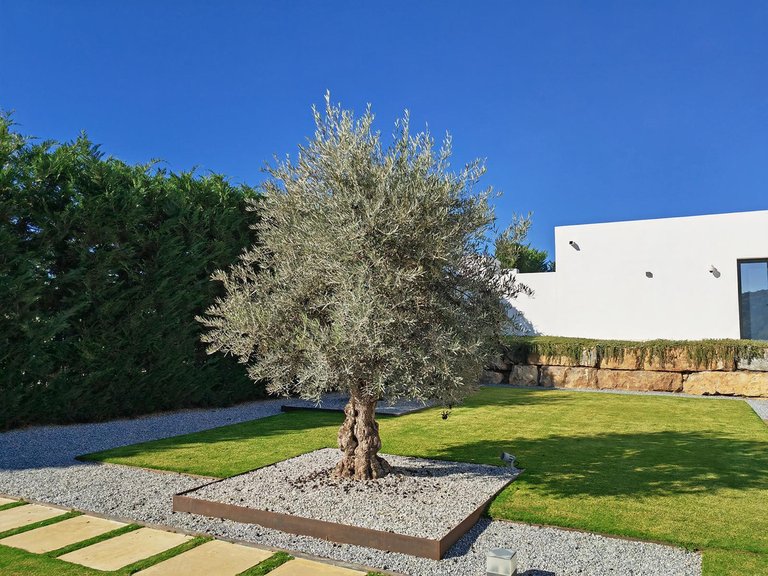 Villa for Sale in Benahavís, Malaga 36