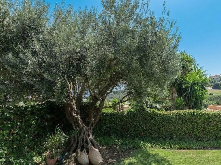 Villa for Sale in Costa del Sol Benahavís, Malaga 8