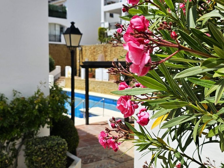 Apartment for Sale in Altos De Los Monteros, Malaga 28