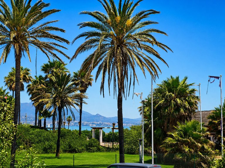 Apartment for Sale in La Duquesa, Malaga 22