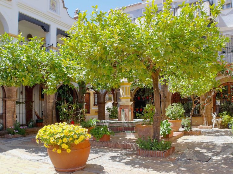 Apartment for Sale in Mijas Golf, Malaga 18