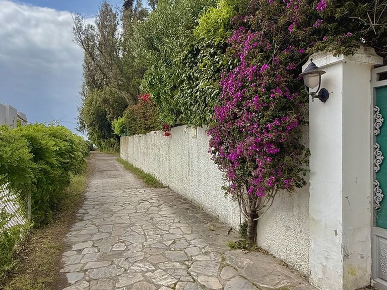 Villa for Sale in New Golden Mile, Malaga 37