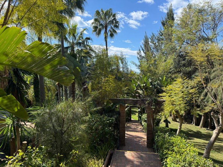 Apartment for Sale in Las Chapas, Malaga 36