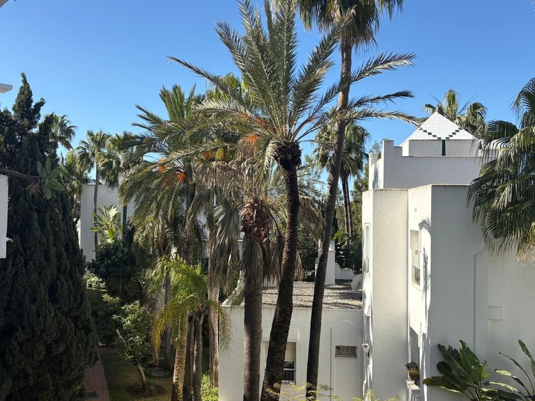 Apartment for Sale in Las Chapas, Malaga 39