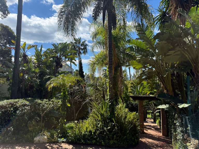 Apartment for Sale in Las Chapas, Malaga 44