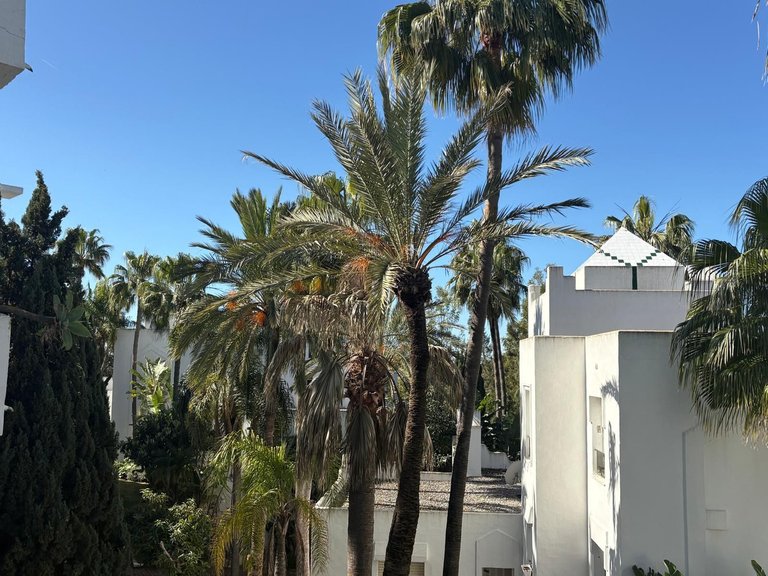 Apartment for Sale in Las Chapas, Malaga 46