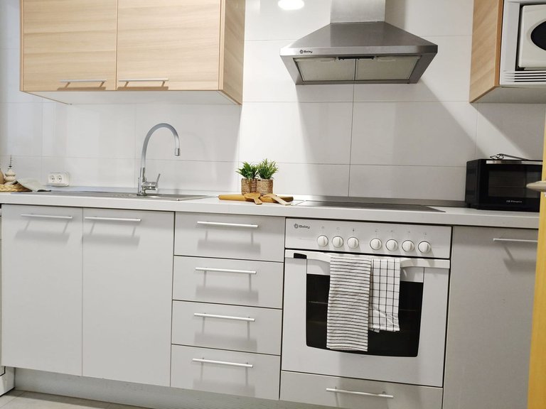 Apartment for Sale in Pacífico, Malaga 19