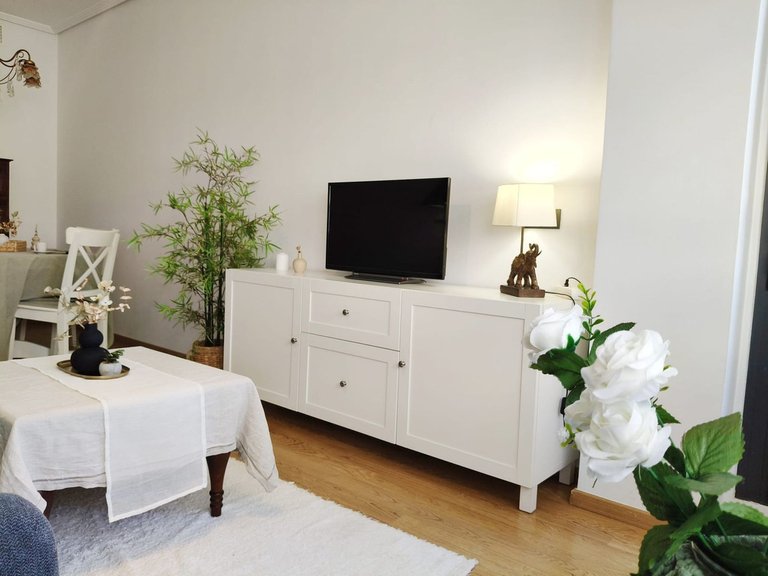 Apartment for Sale in Pacífico, Malaga 31
