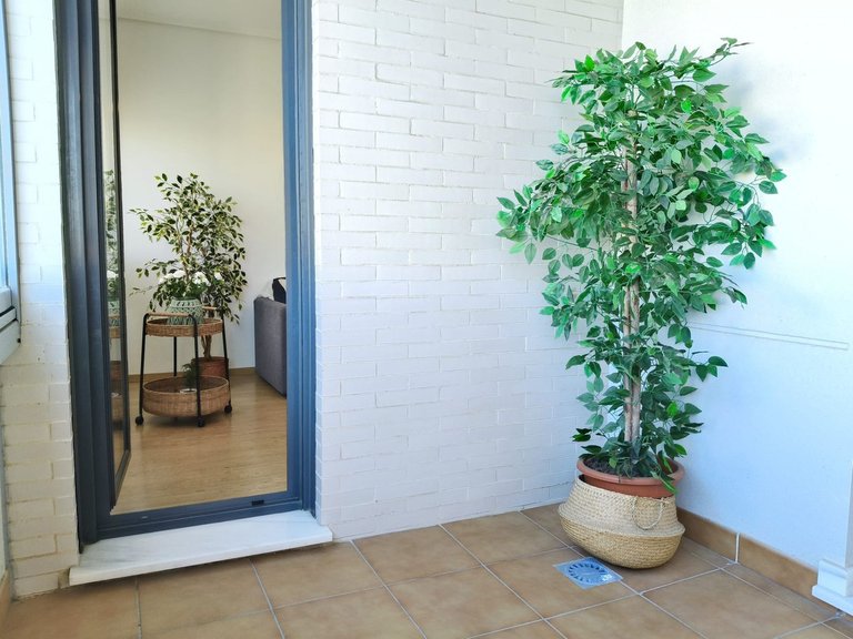 Apartment for Sale in Pacífico, Malaga 36