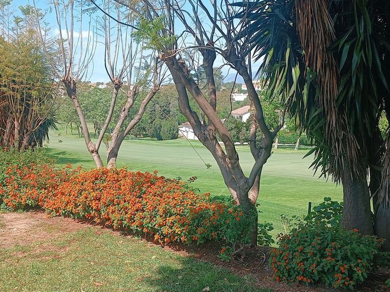 Apartment for Sale in Guadalmina Alta, Malaga 32