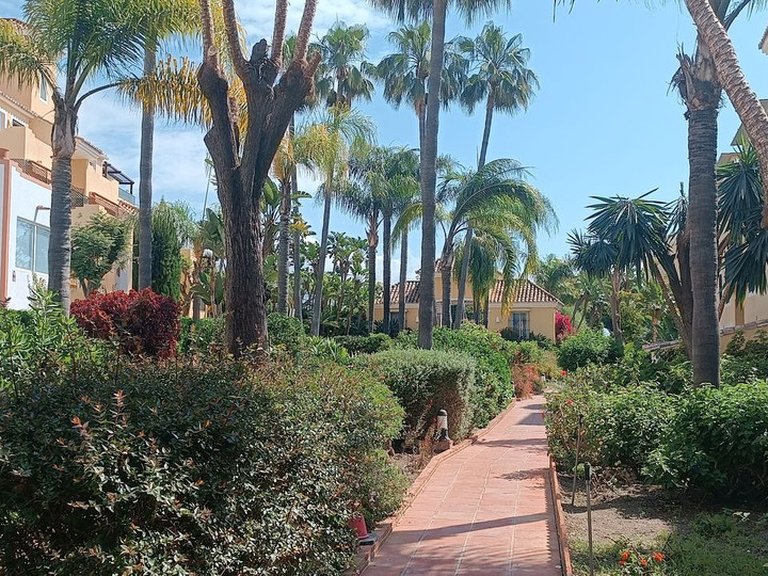 Apartment for Sale in Guadalmina Alta, Malaga 34