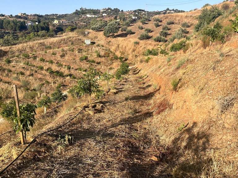 Plot for Sale in Alhaurín El Grande, Malaga 15