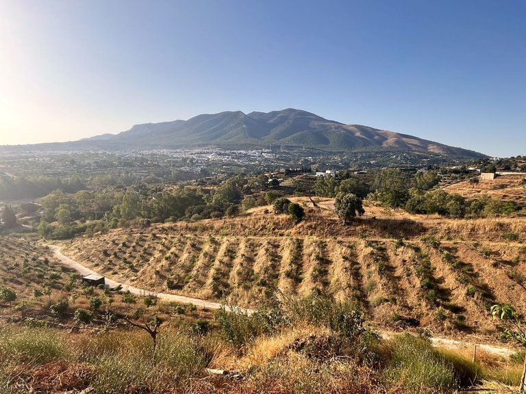 Plot for Sale in Alhaurín El Grande, Malaga 18