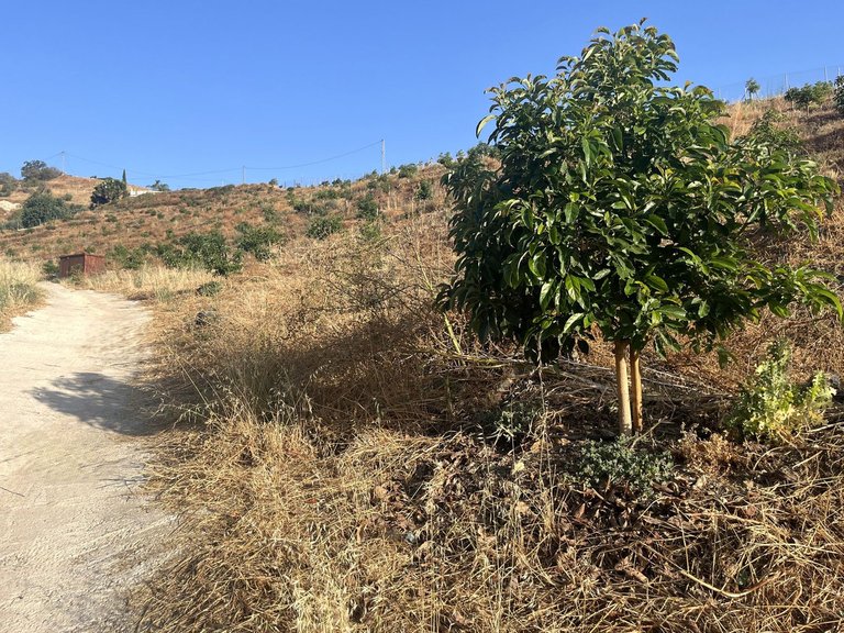 Plot for Sale in Alhaurín El Grande, Malaga 9