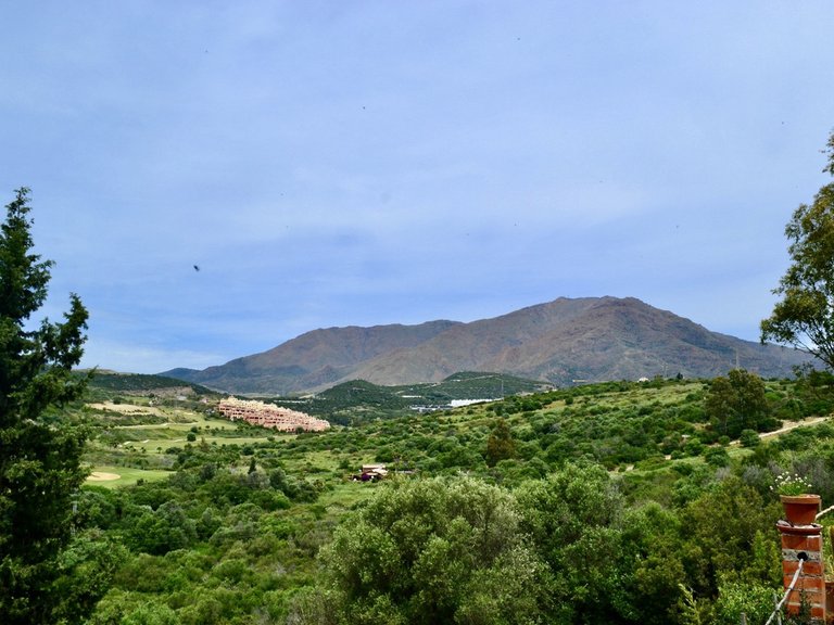 Plot for Sale in Estepona, Malaga 1