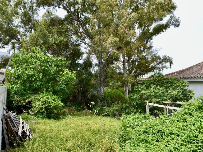 Plot for Sale in Estepona, Malaga 10
