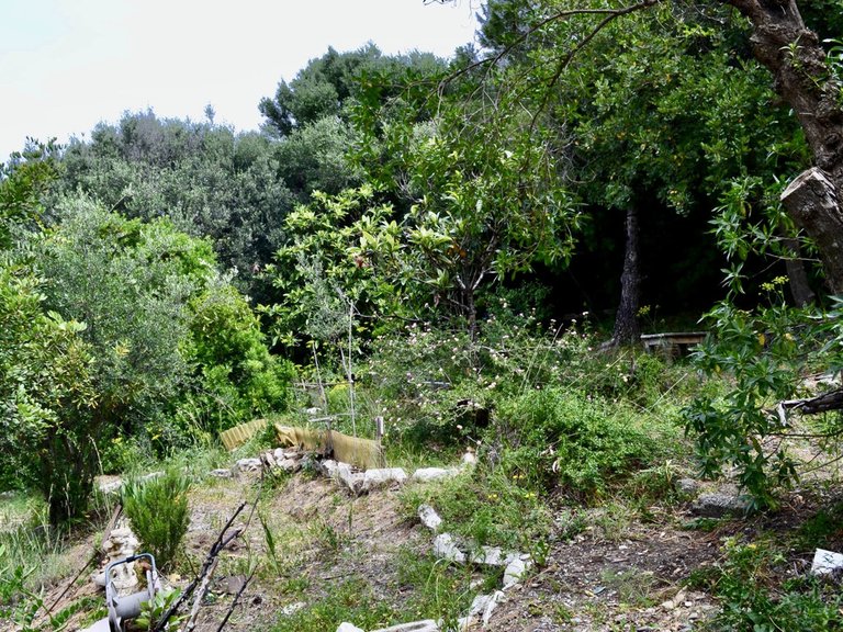 Plot for Sale in Estepona, Malaga 11