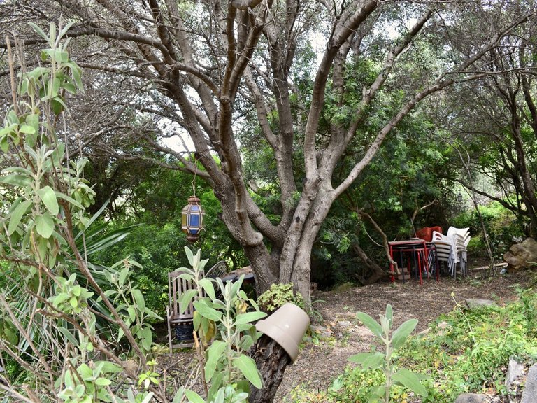 Plot for Sale in Estepona, Malaga 14