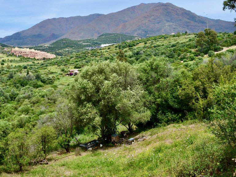 Plot for Sale in Estepona, Malaga 8